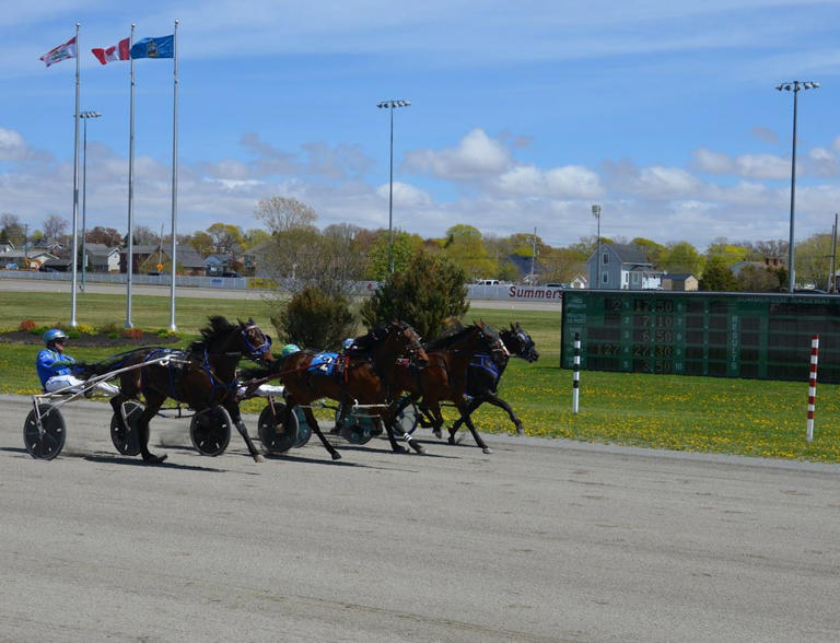 HARNESS RACING: All Bets On Tex wins feature on season-opening card in ...