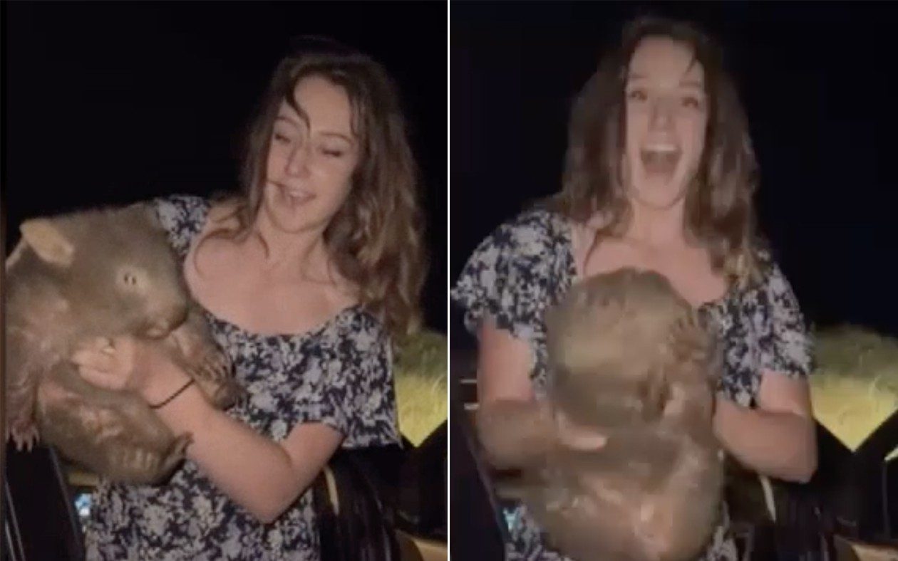 US influencer flees Australia after being filmed snatching baby wombat