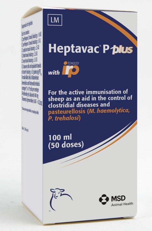 Heptavac P Plus supply secure for late March