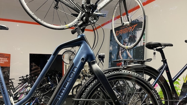 E BIKE G NSTIG KAUFEN intelligence overview