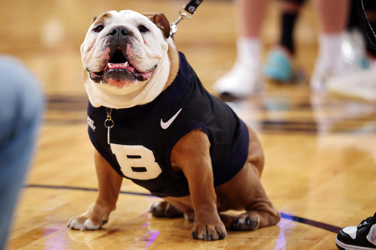 After Blue IV retired, PETA pounced, urging Butler to ditch live ...