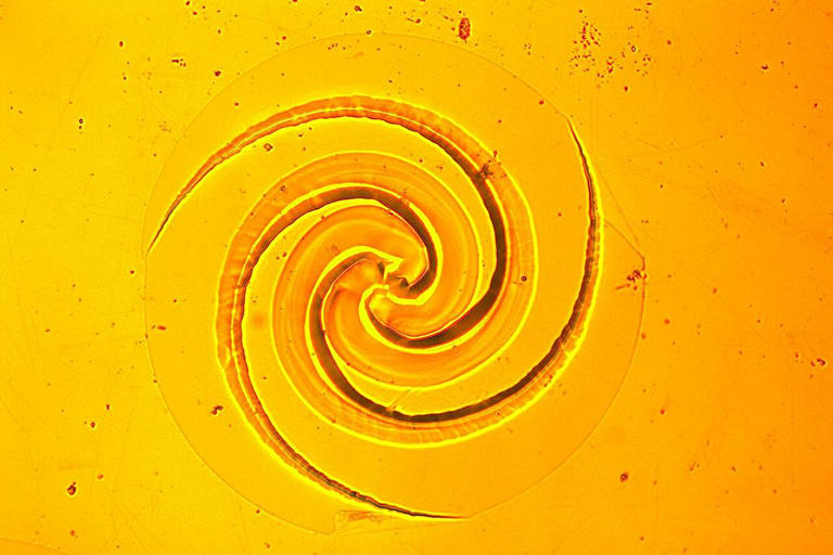 Serendipitous discovery reveals how stress and chemistry etch ...