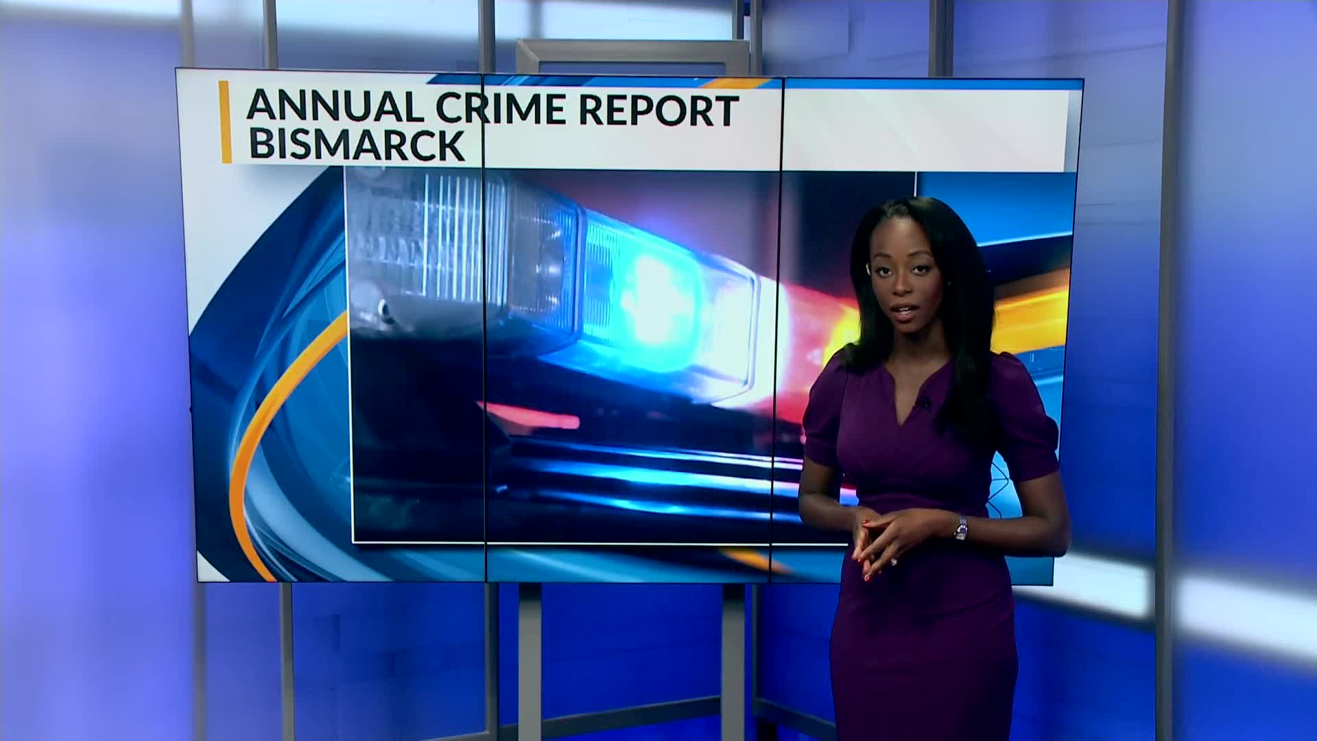 bis-police-department-annual-report