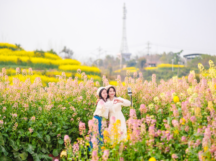  ��ɫ��263�� | ����������Ӱ������Ʒչ������������Ʒ 