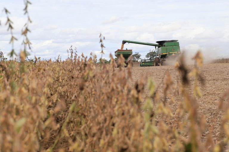 Bolivia's soy farmers on edge as fuel shortage hits harvest