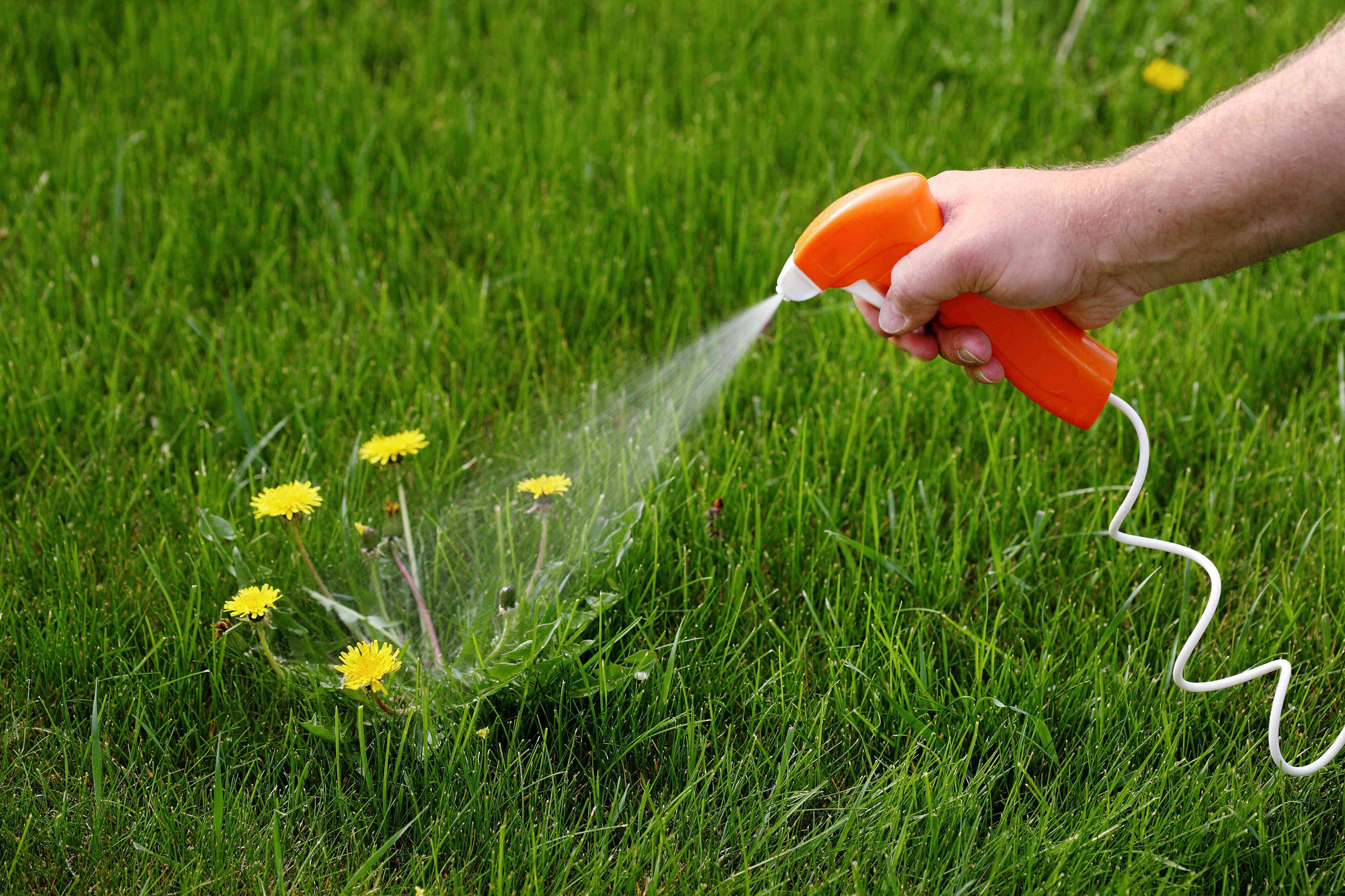 How often you should use weed control for the best results