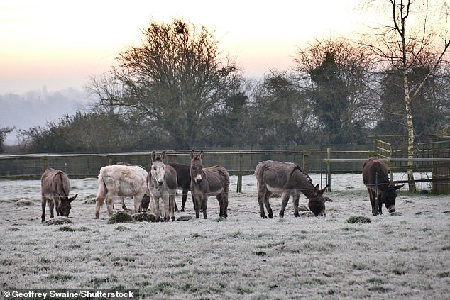 AA1AUcms Temperatures drop to -5C this morning but will jump to 15C next week