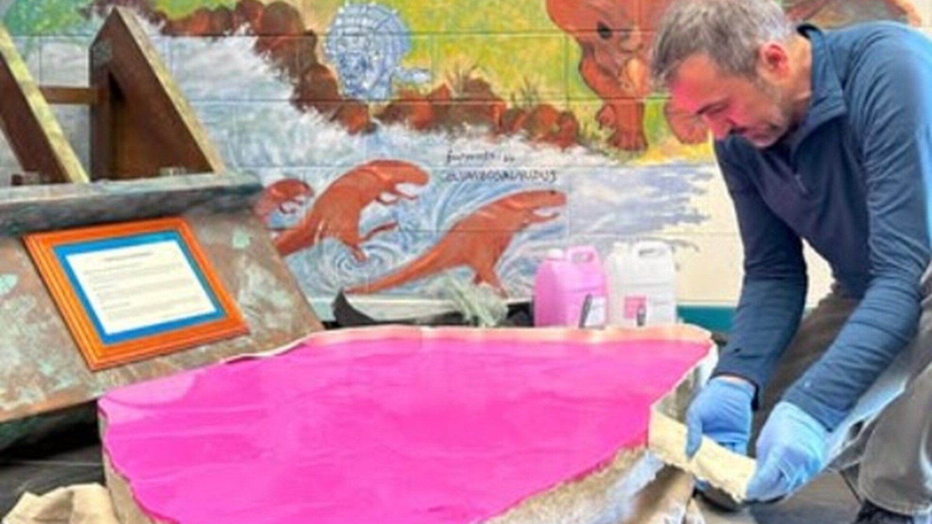 66 Dino-Fußspuren in australischer Schule entdeckt