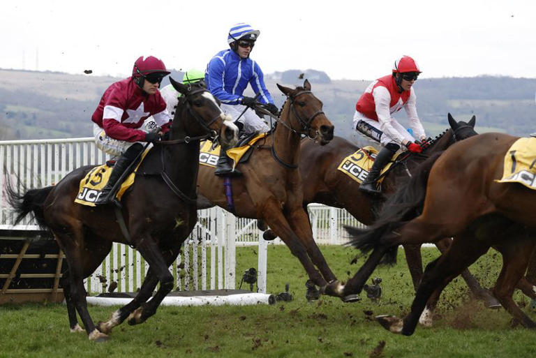 Horse racing-Brighton owner wins big at Cheltenham with 100/1 shot Poniros