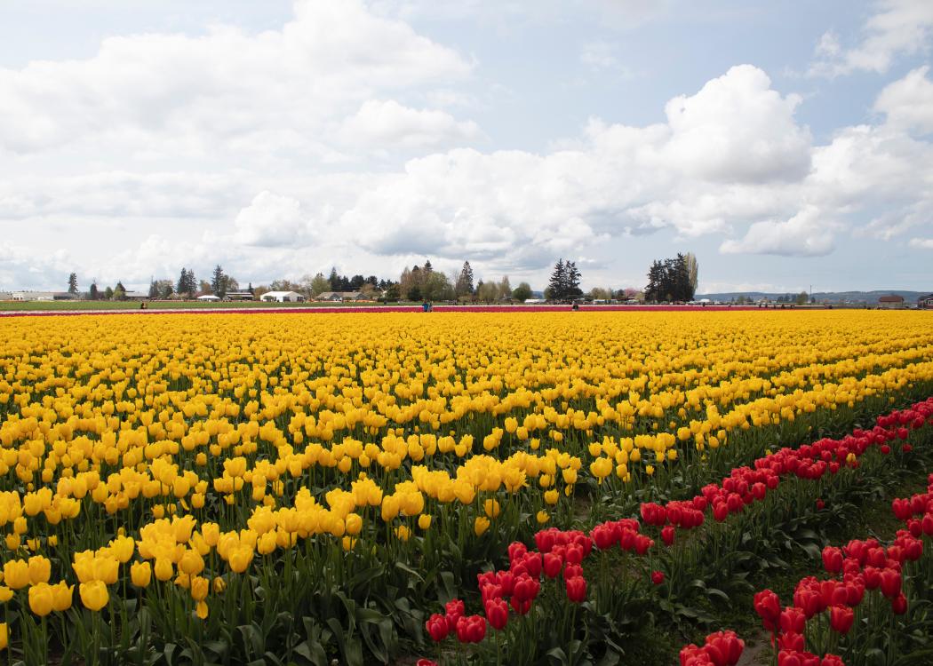 No Passport Needed: 25 Exotic U.S. Getaways That Feel a World Away 46