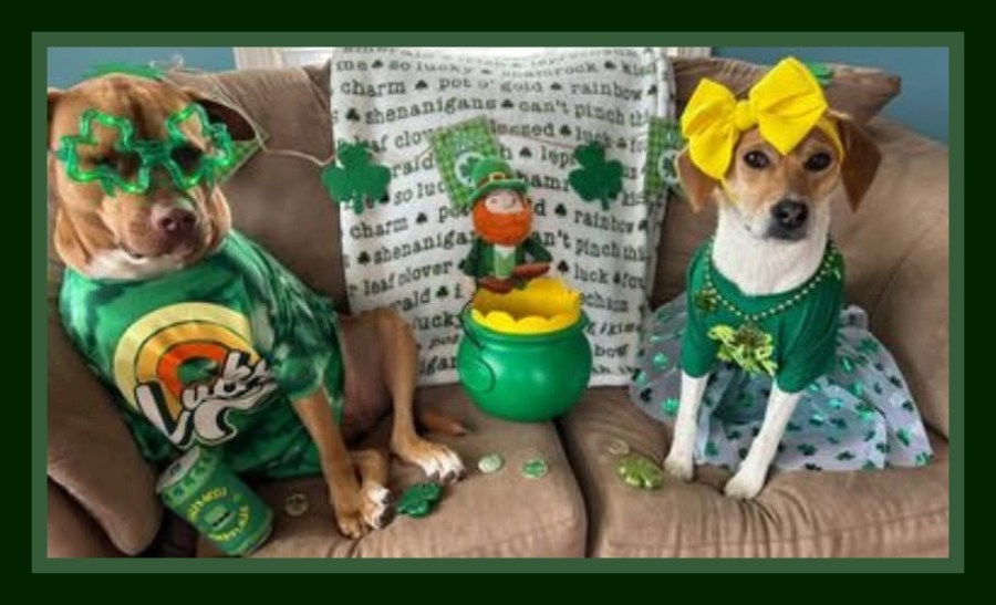 saint patrick day richmond va