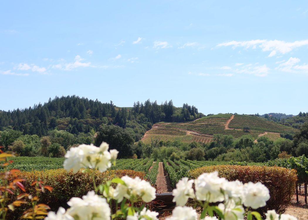 No Passport Needed: 25 Exotic U.S. Getaways That Feel a World Away 37