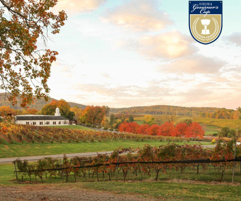 Orange County vineyard wins 2025 Virginia Governor’s Cup