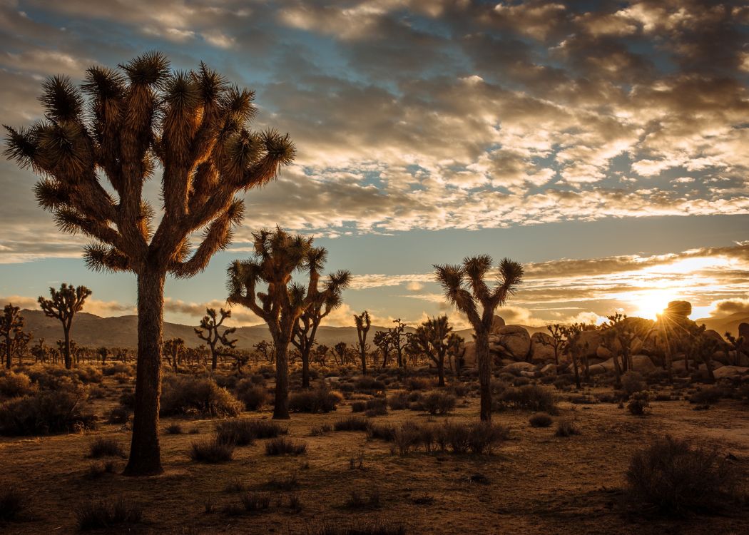 No Passport Needed: 25 Exotic U.S. Getaways That Feel a World Away 35