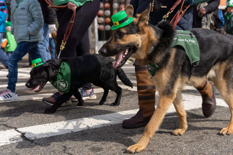 2025 st patricks day parade morristown nj