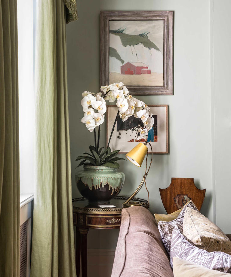 I Write About Houseplants for a Living and These Are the 5 Worst Myths