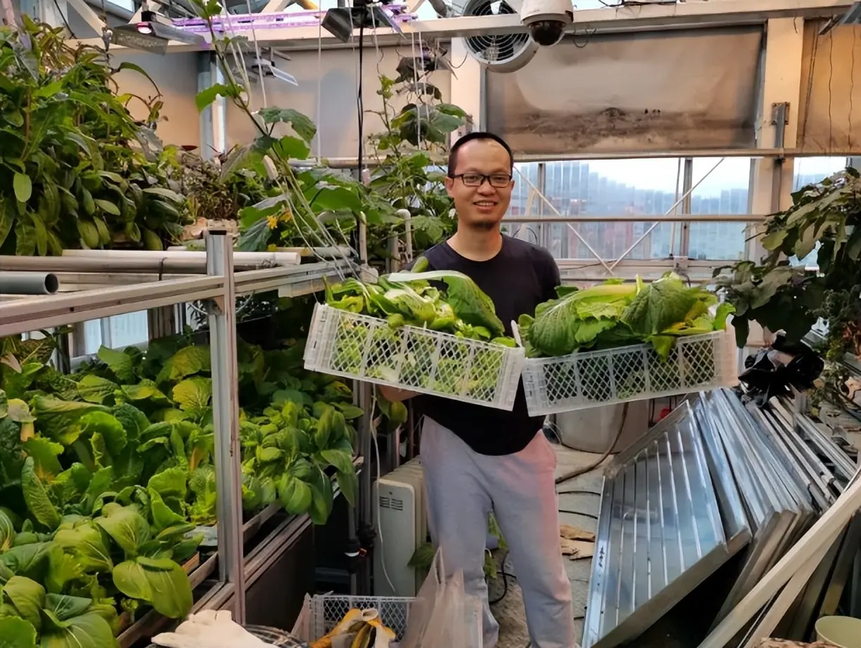 �й�ҽ�����ϼ��ֲˣ���������˹�����䷹���ֲ����������츳��