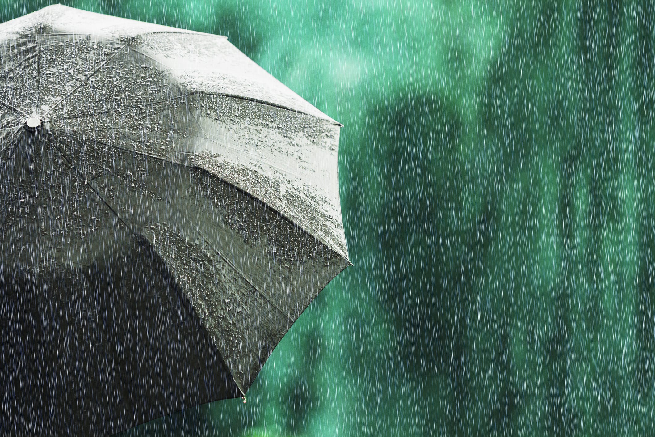 How much rain did the storms bring to Iowa?