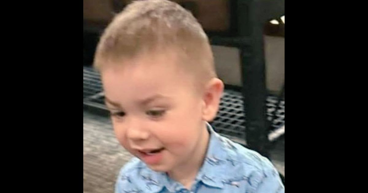 Massive Search Effort Underway After 2 Year Old Disappears from His