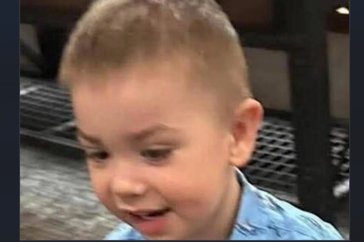 Hundreds frantically search for 2yearold boy who vanished while