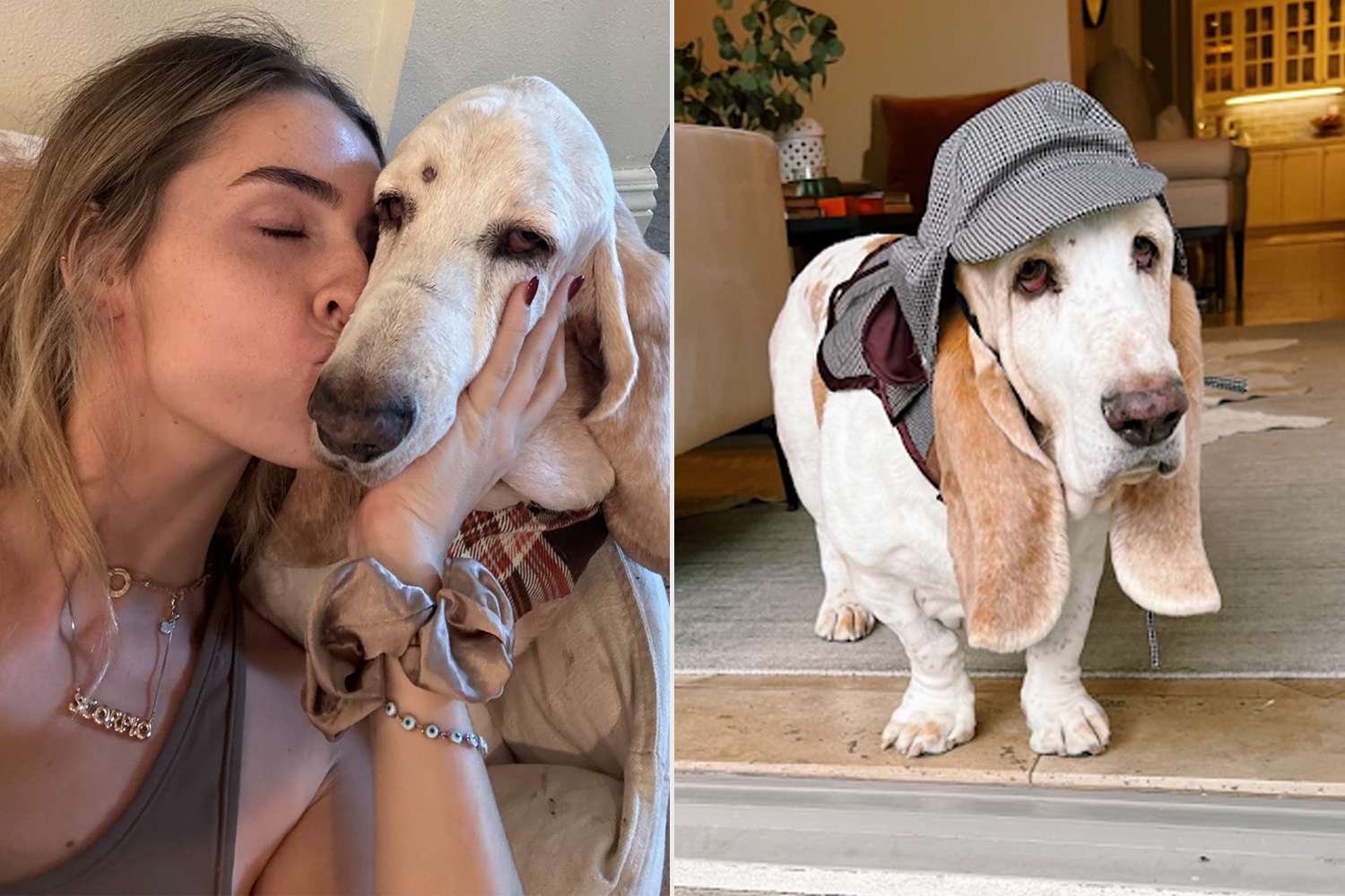 They Knew Their Dog Was in His Last Days. So They Consulted a Psychic(00)