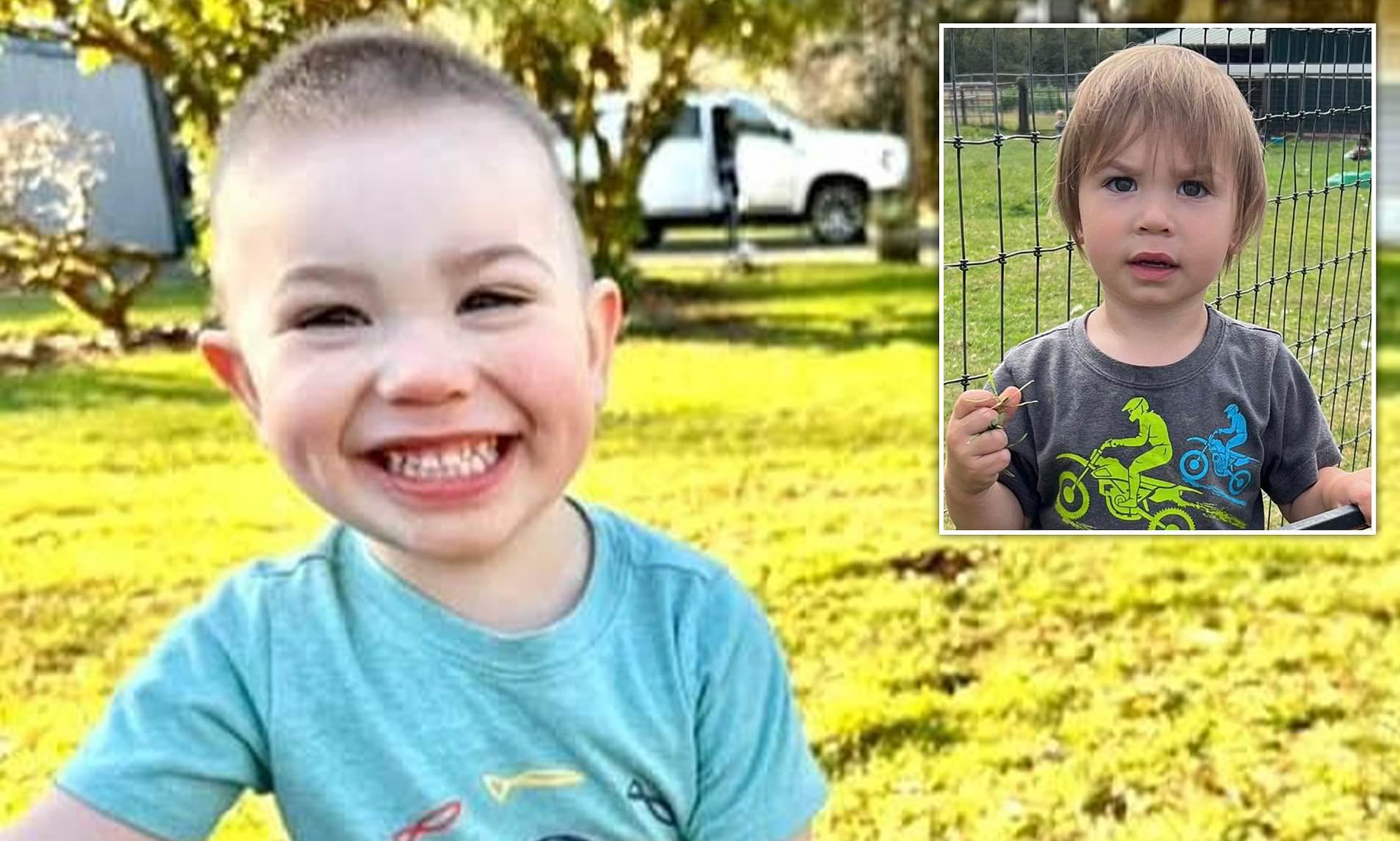 Fears grow for Oregon boy, 2, who vanished at home in broad daylight
