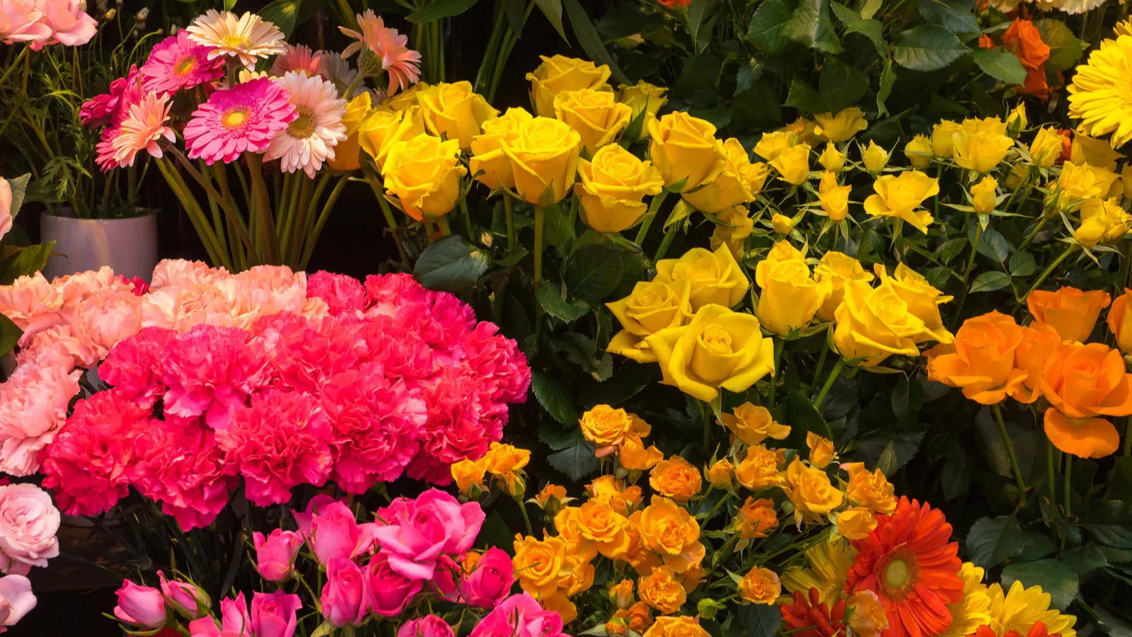 Plant These Seeds Now for Stunning Summer Blooms