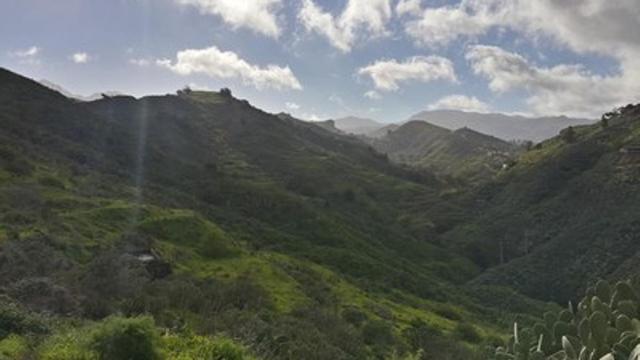 Un nuevo restaurante con vistas de ensueño abre en Gran Canaria: así es ...