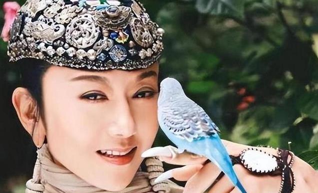 67������Ƽ�޾����飬�赸����һ����������Ϊ��֪�ļ��������