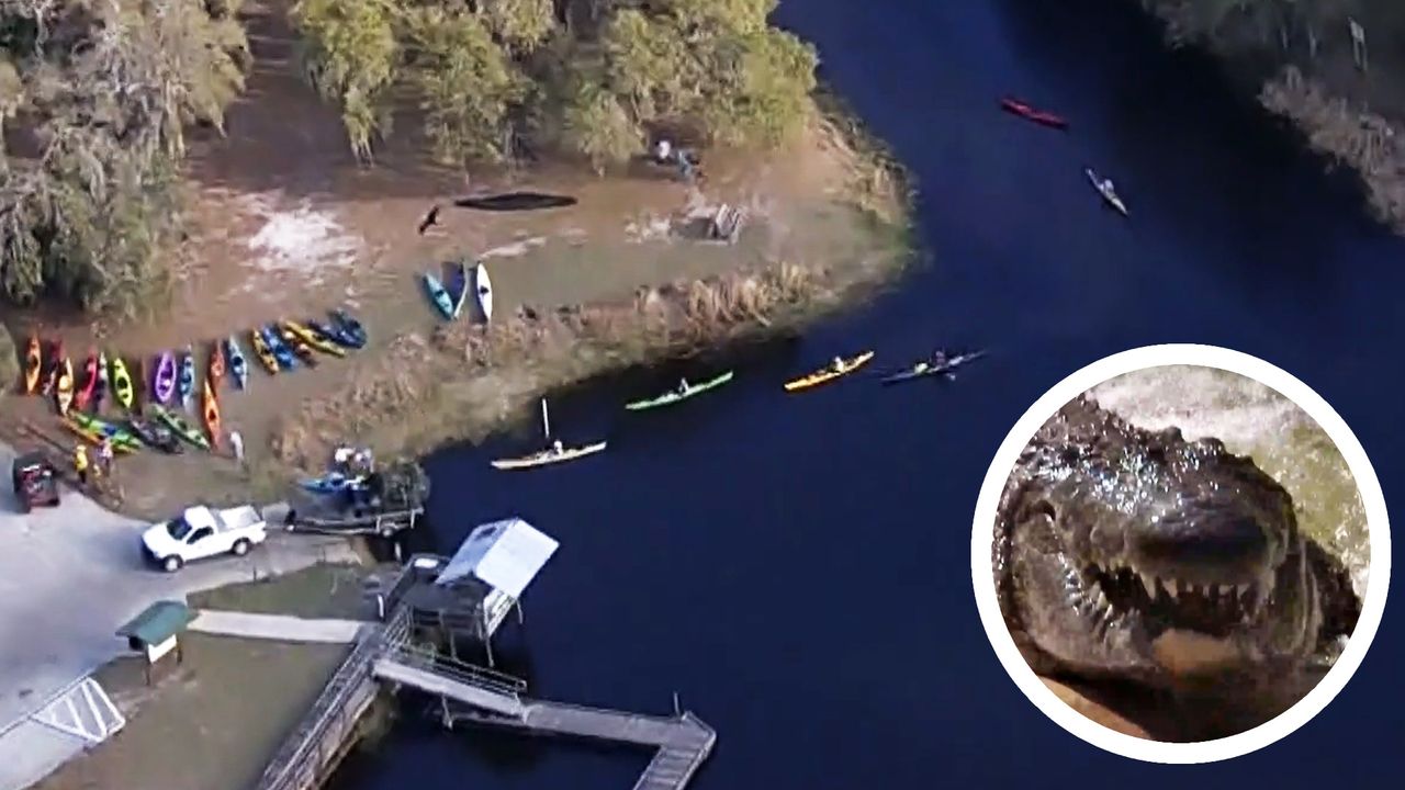 Woman bitten by alligator while kayaking in Florida(00)