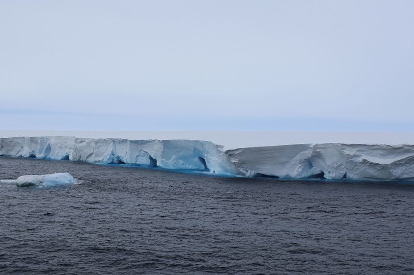 World's biggest iceberg runs aground near remote