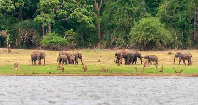 Hidden National Parks in India That Deserve More Attention