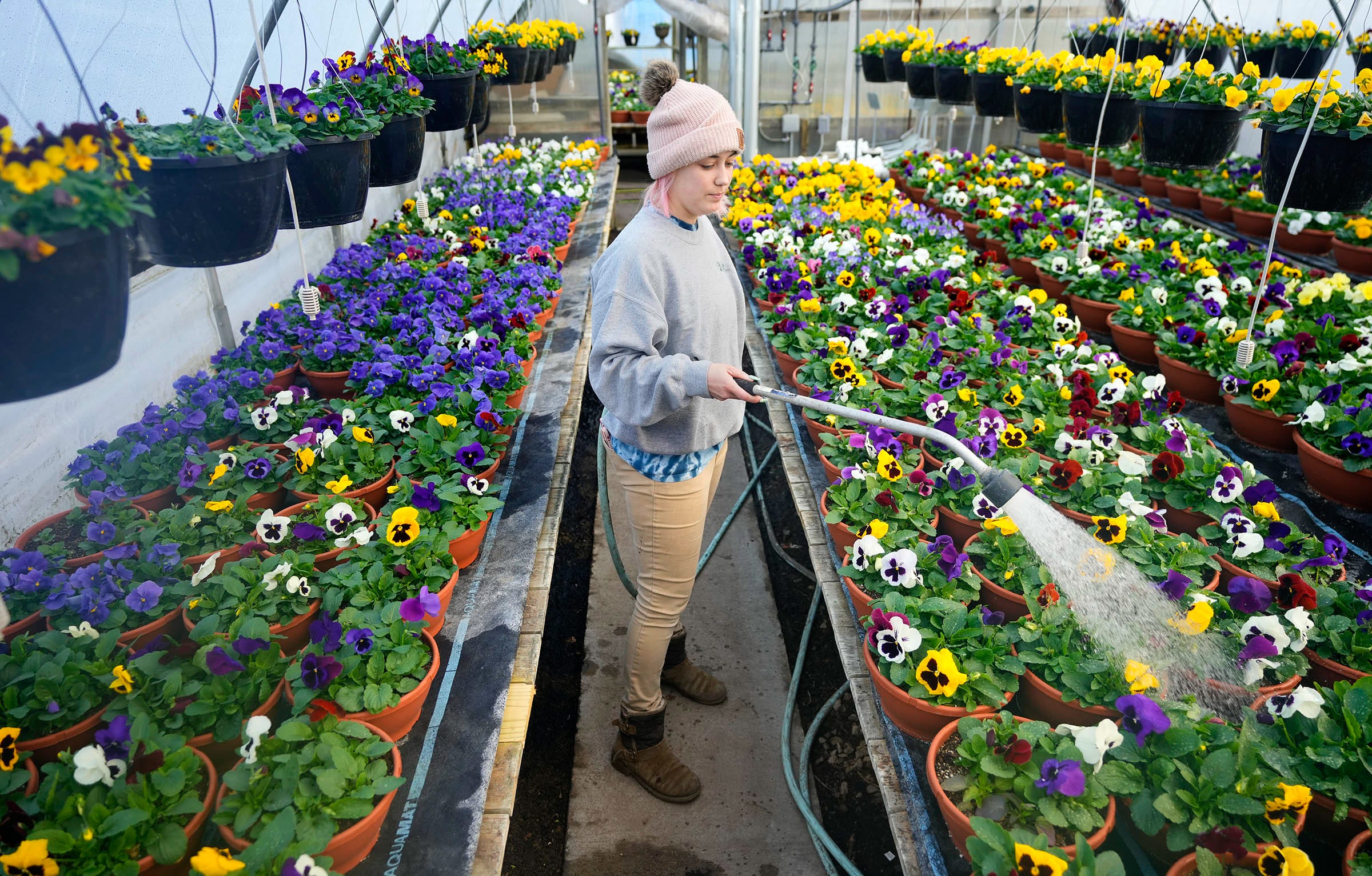 Will Wisconsin have a warm spring in 2026? What 4 different forecasts ...