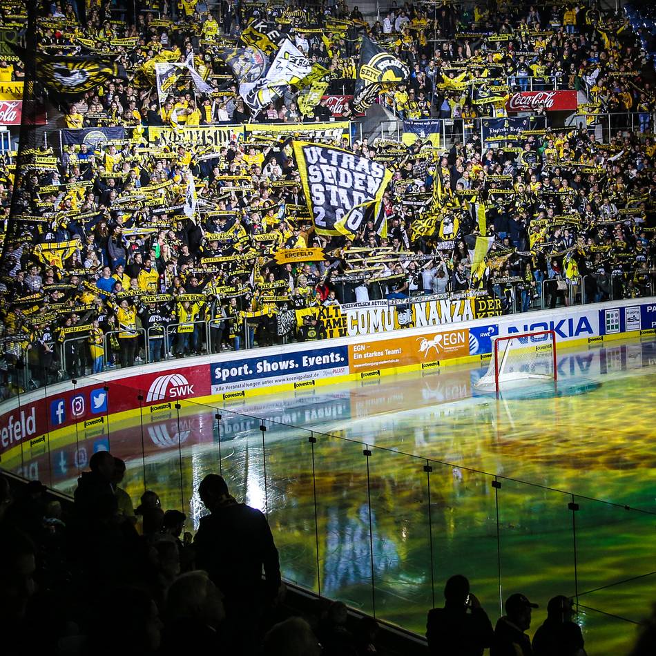 Krefeld Pinguine Pr fen Anspr che Auf Schadenersatz