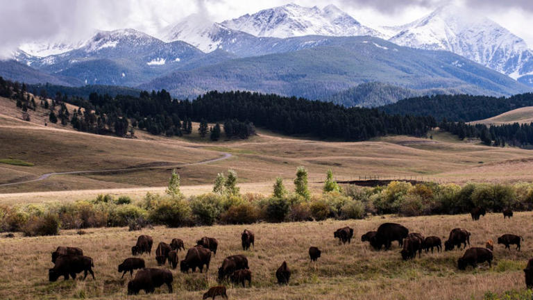 Bozeman, Montana - Gordon Calhoun 500px Getty