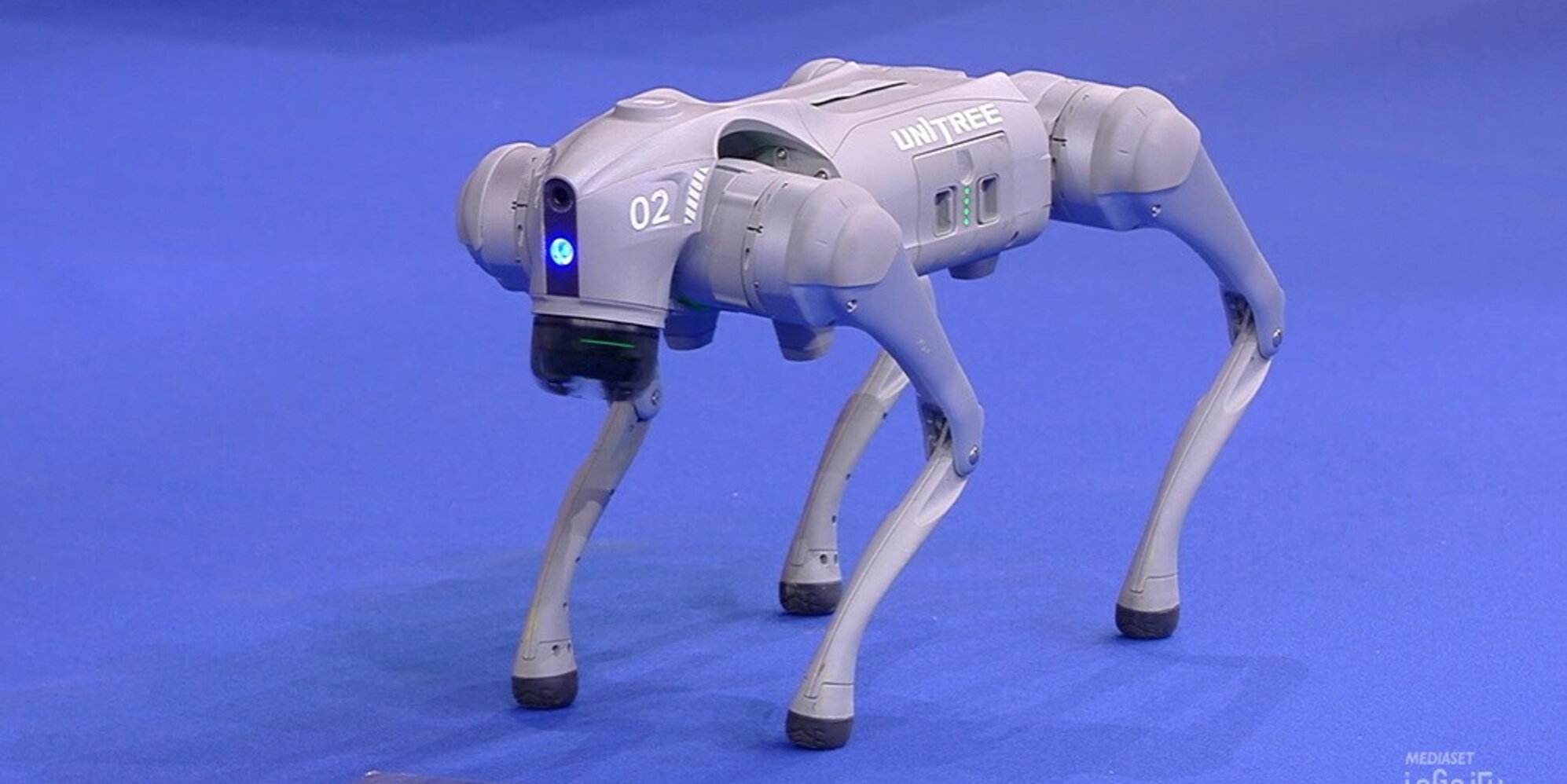 Cagnolino Robot Cucciolo Robot Che Si Comporta Come Un Vero