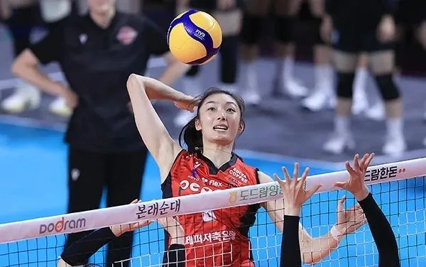 中国女排球员全部取消报名 小朱婷中途退出 合计43人