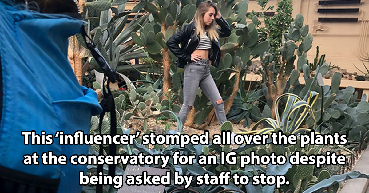 18 Times Influencers Went Too Far with Cringey and Fake Behavior