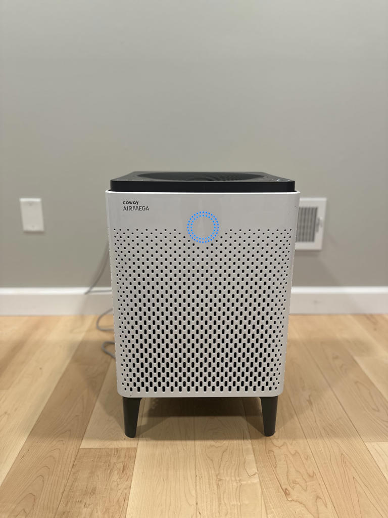 I'm Allergic to Pollen, and This Air Purifier Helps Me Breathe Easy