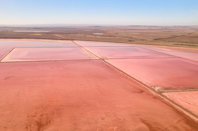 75 Mind Blowing Facts You’ll Think Are Made Up (but Aren’t) Gettyimages 1151904278
