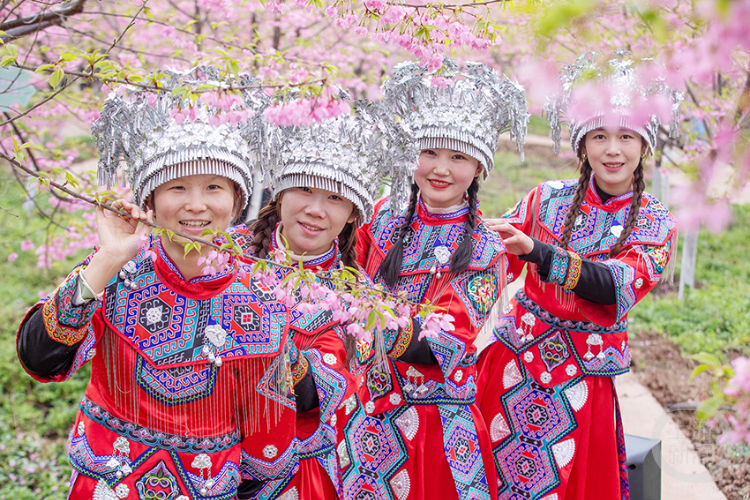 ��ɫ��206�� | ����������Ӱ������Ʒչ�����ﻪƽ��Ʒ