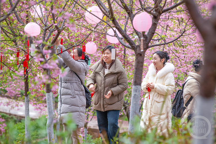 ��ɫ��206�� | ����������Ӱ������Ʒչ�����ﻪƽ��Ʒ