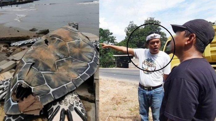 PATUNG PENYU VIRAL - Kolase foto patung penyu yang virla dan Dedi Mulyadi Gubernur Jawa Barat, Jumat (07/03/2025). Pembelaan pihak proyek usai ketahuan patung penyu terbuat dari kardus, Dedi Mulyadi Gubernur Jawa Barat ngamuk dibuatnya. (Facebook/Youtube Dedi Mulyadi)