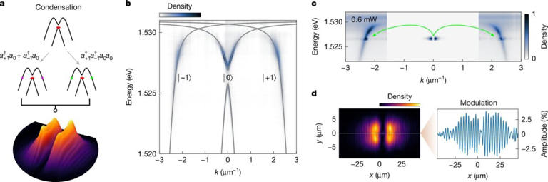 System in reciprocal and coordinate space. Credit: Nature