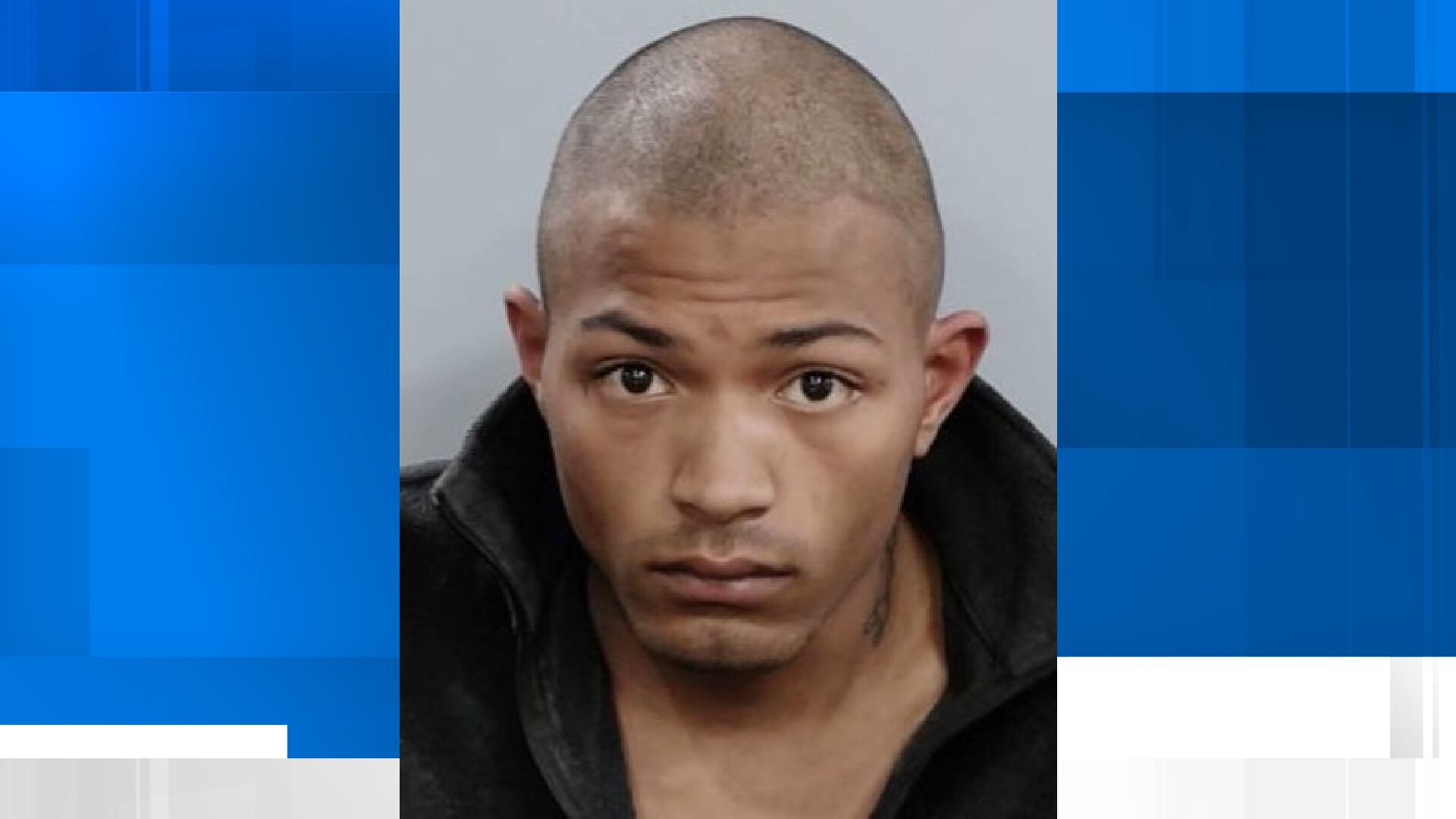 Dog stabbed in the head during walk with owner; man accused