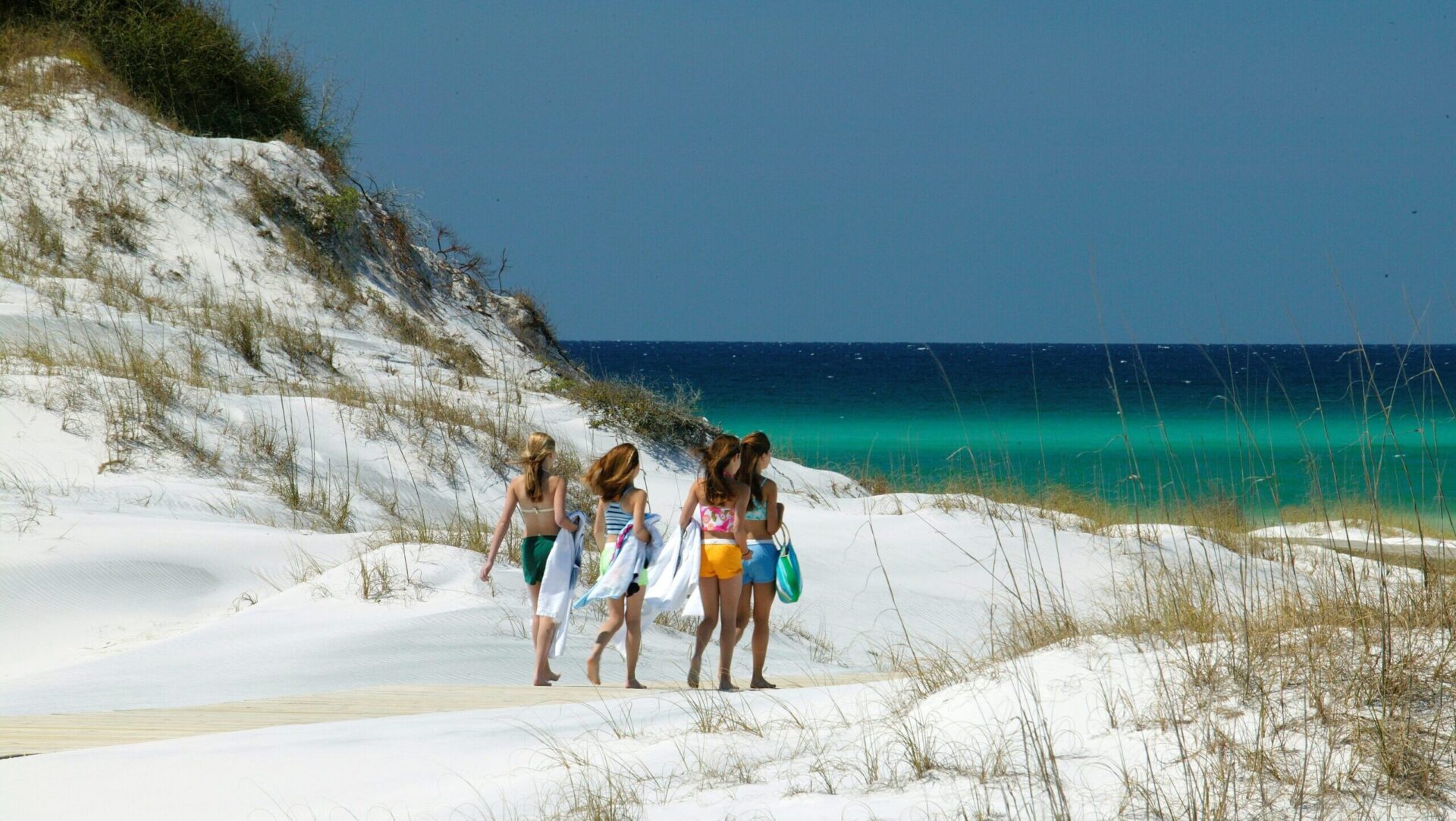 Florida visual data 3