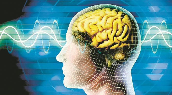 El estudio científico que revela cómo el ayuno intermitente y otras dietas pueden impactar en el envejecimiento de tu cerebro