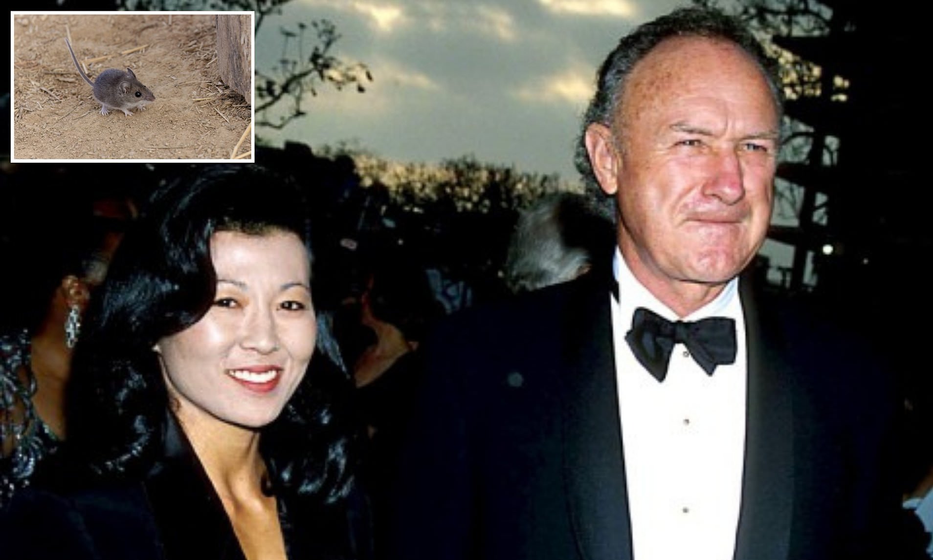 How Gene Hackman's wife Betsy Arakawa caught rodent disease hantavirus