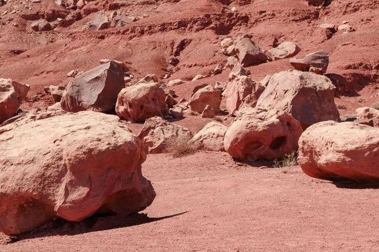 “They’re Enigmas”, NASA’s Rover Discovers Bizarre Martian Rocks That Defy Explanation | The Daily Galaxy --Great Discoveries Channel