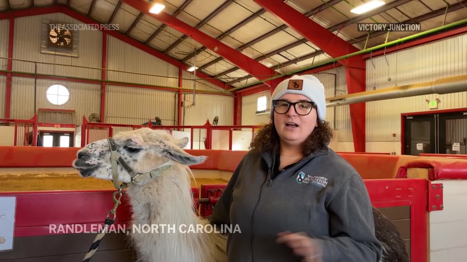 World's oldest llama enjoys comforting children who are chronically ill